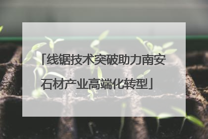 线锯技术突破助力南安石材产业高端化转型